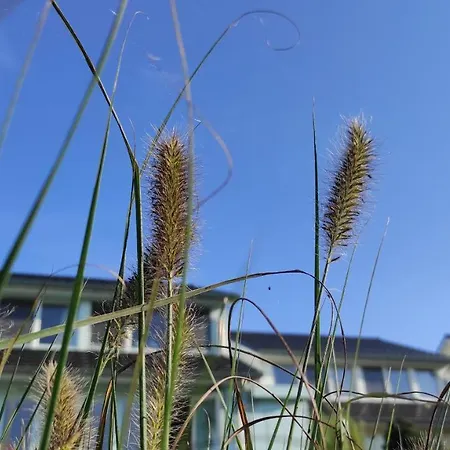 Wierhooft 21 Holiday home *