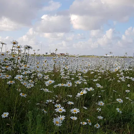 Wierhooft 21 Holiday home