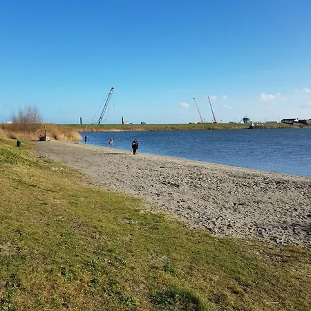 Ferienhaus Wierhooft 21 Den Oever