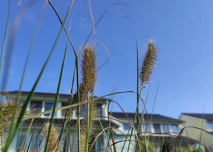 Wierhooft 21 Сasa de vacaciones *