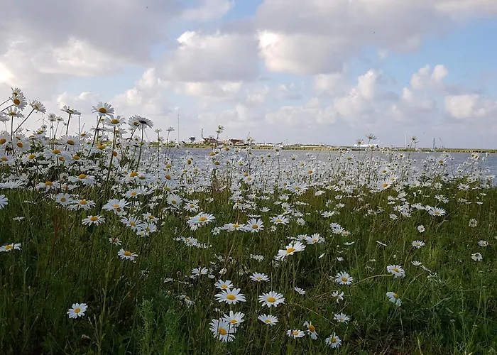 Wierhooft 21 Сasa de vacaciones